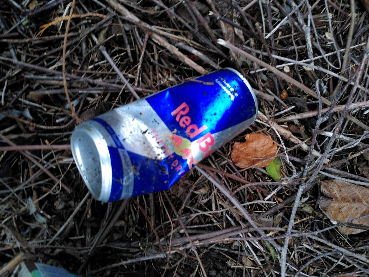 litter in DRECKSPOTZ | GLOBAL 2000 App spotted by TheOSWR on 04.01.2021