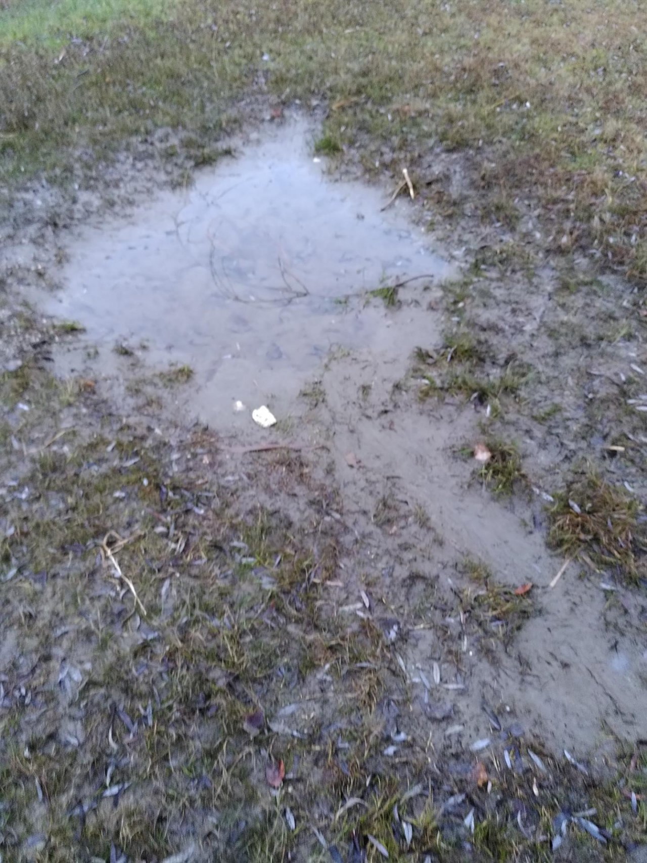 soil moisture in CrowdWater App spotted by TheOSWR on 04.01.2021