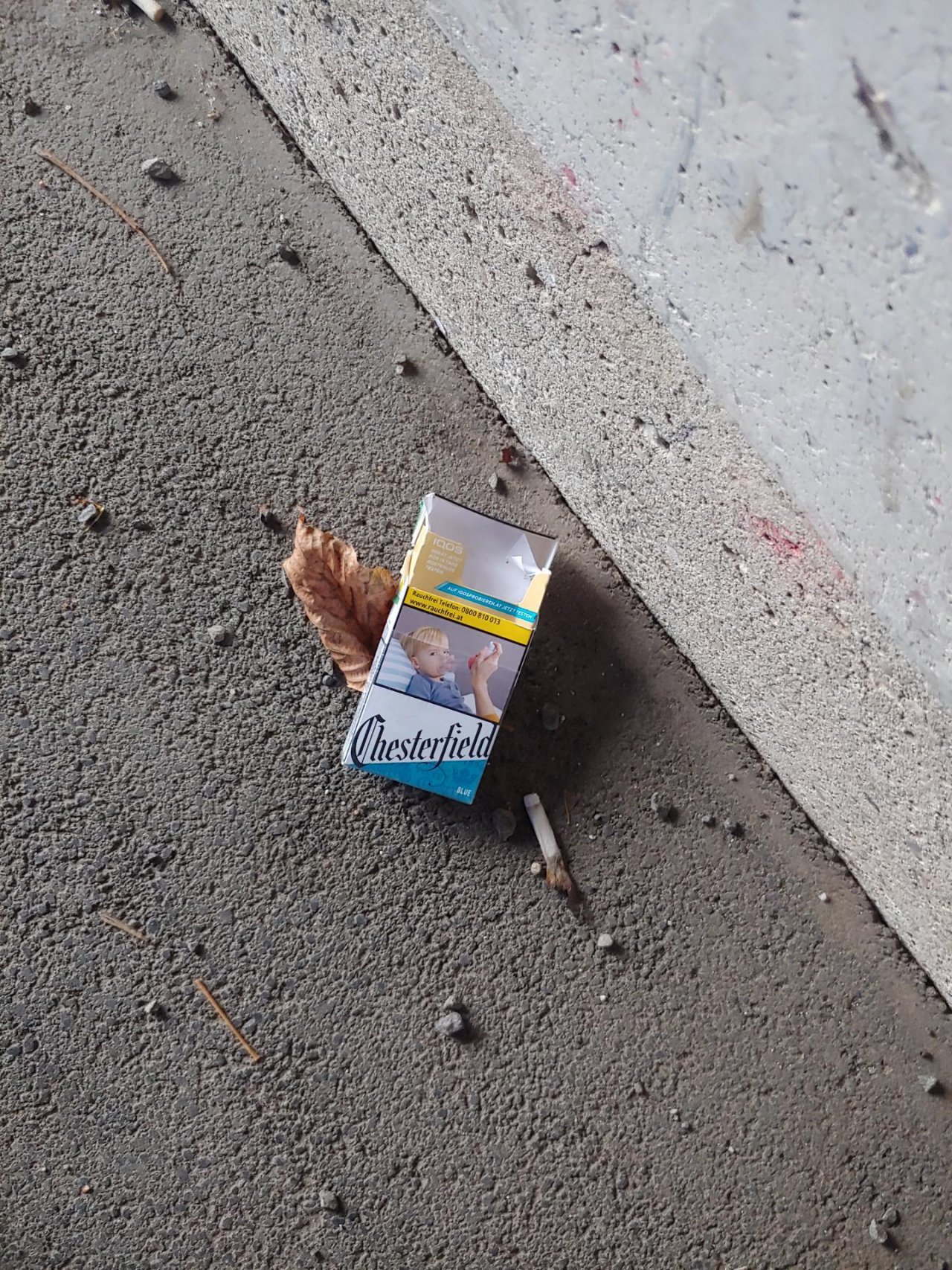 litter in DRECKSPOTZ | GLOBAL 2000 App spotted by Christian Kantner on 12.01.2021