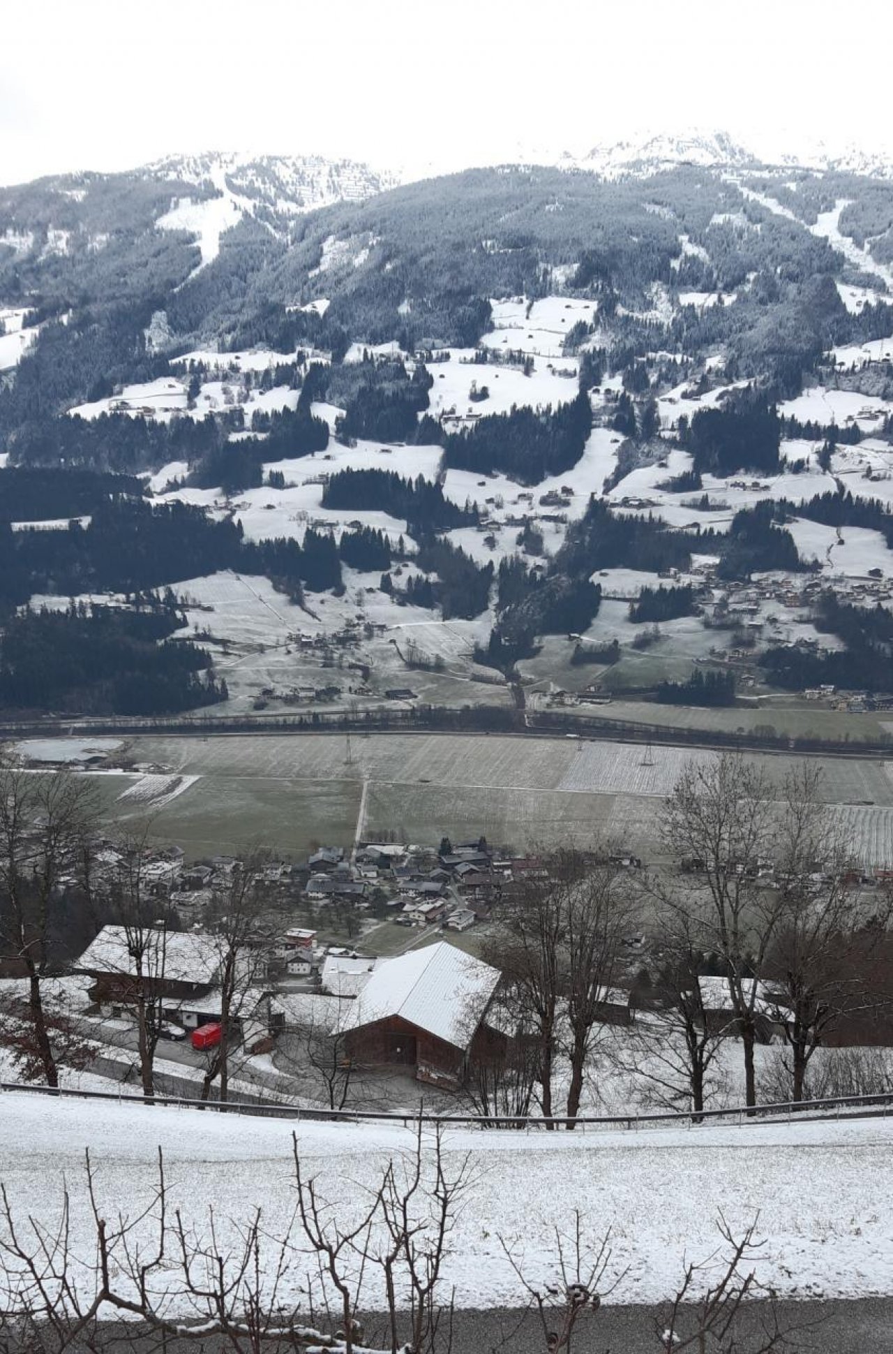 Zusammenhängende Schneedecke in Naturkalender App spotted by Steinbock on 26.12.2020