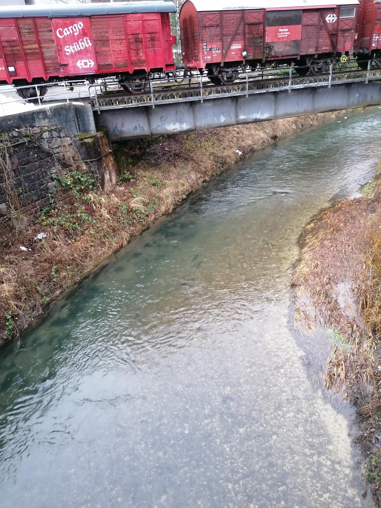 stream type in CrowdWater App spotted by mm4144 on 31.12.2020