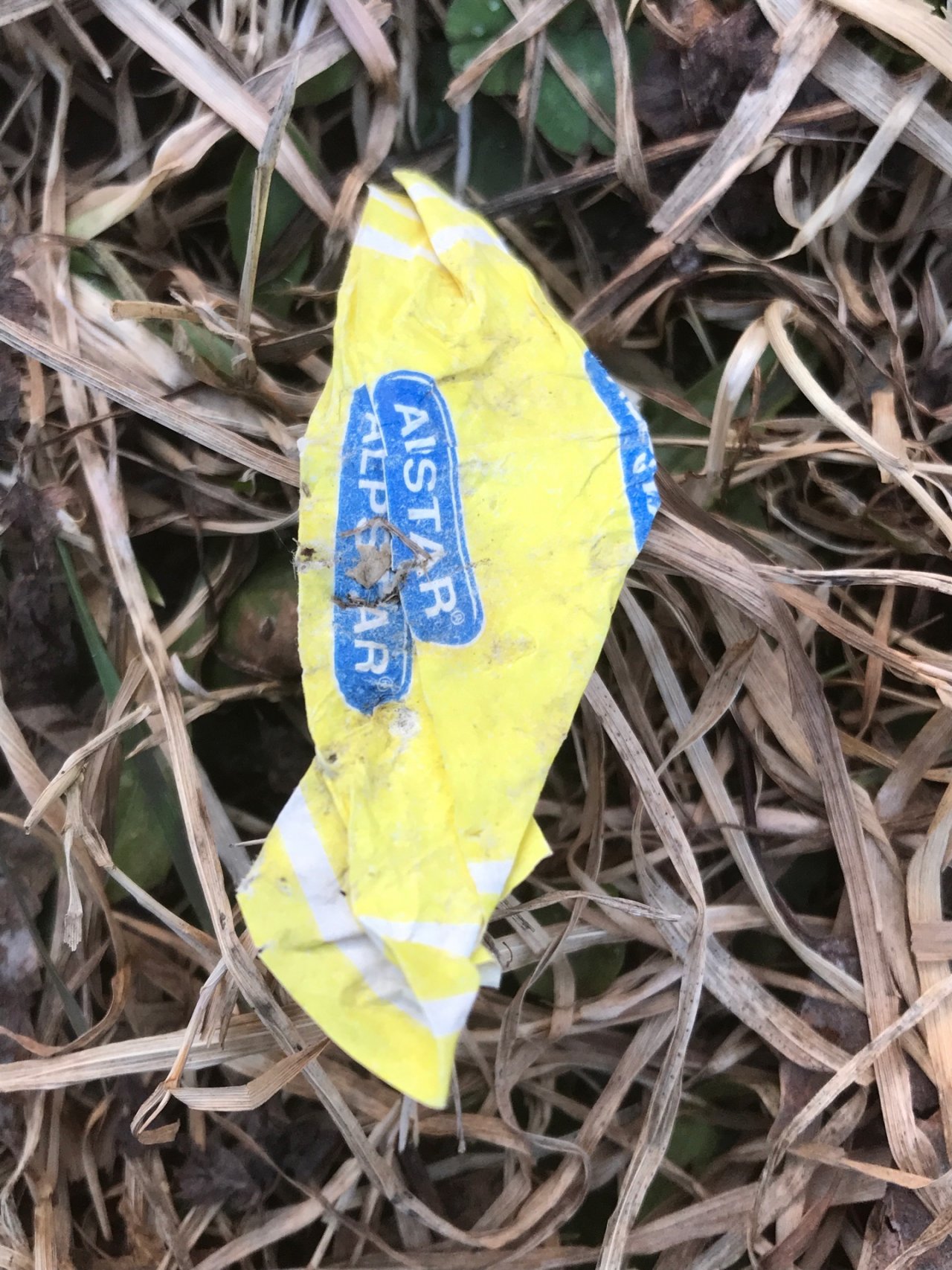 litter in DRECKSPOTZ | GLOBAL 2000 App spotted by Baumi21 on 12.03.2021