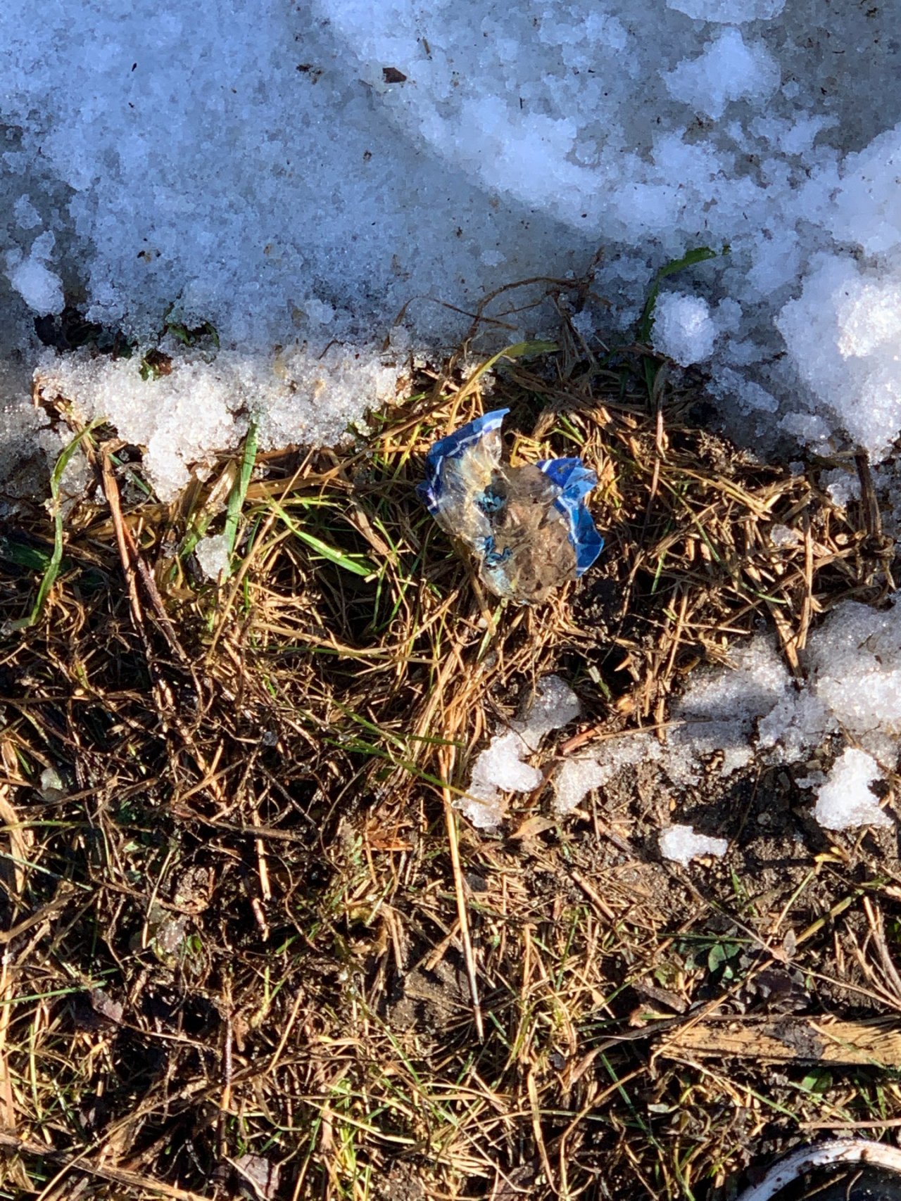 litter in DRECKSPOTZ | GLOBAL 2000 App spotted by DominikGoritschnig on 04.02.2021