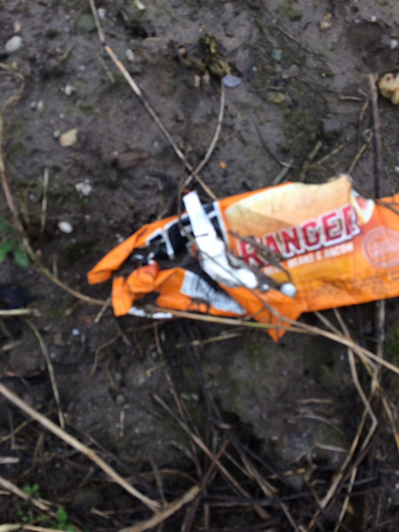 litter in DRECKSPOTZ | GLOBAL 2000 App spotted by Dorit Weber on 06.02.2021