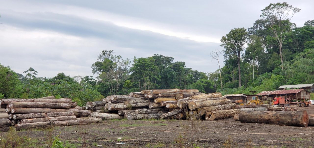 Logs present in Green Growth Forests App spotted by Giani Razab Sekh on 16.09.2020