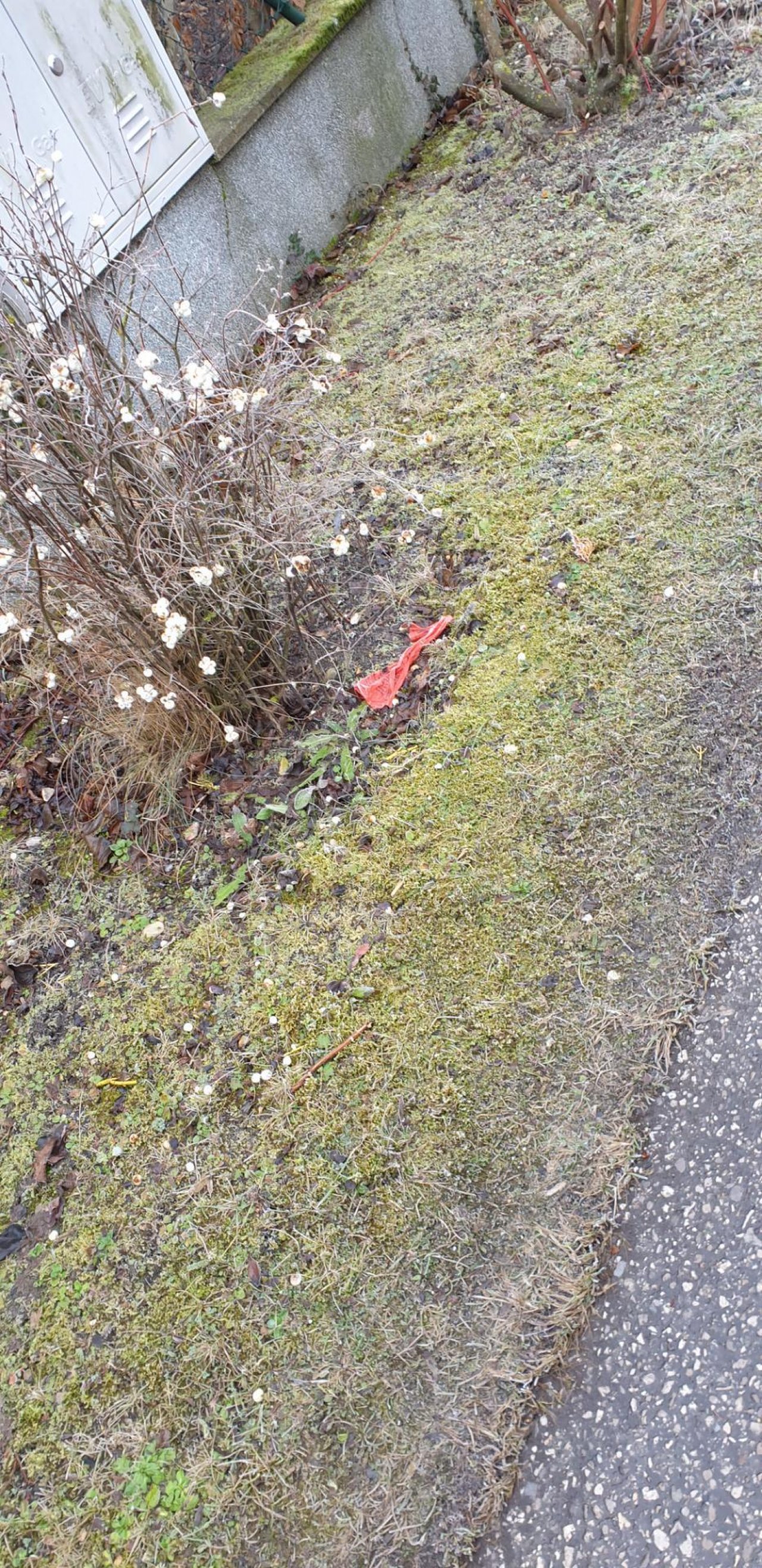 litter in DRECKSPOTZ | GLOBAL 2000 App spotted by NEOS Ebreichsdorf on 01.01.2021