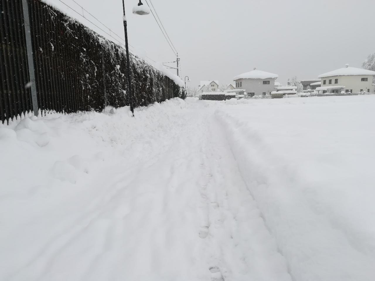 Zusammenhängende Schneedecke in Naturkalender App spotted by palmenblattl on 15.01.2021