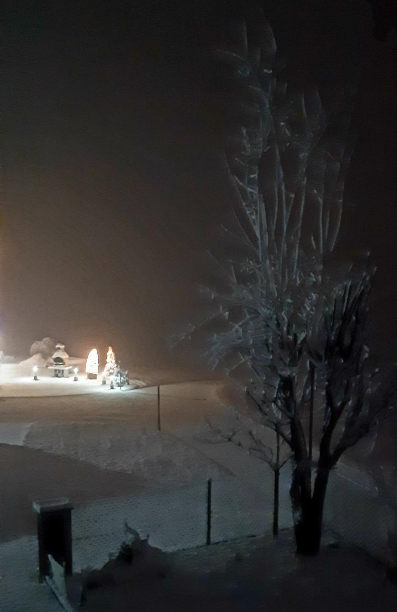 Zusammenhängende Schneedecke in Naturkalender App spotted by Steinbock on 28.12.2020