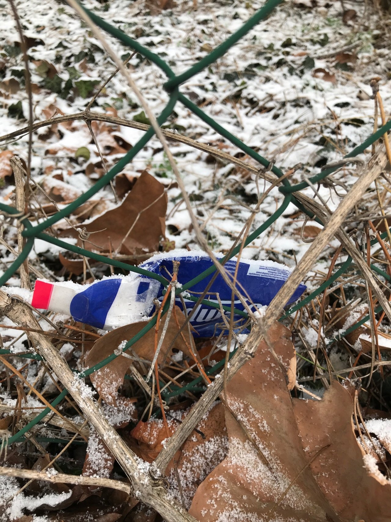 litter in DRECKSPOTZ | GLOBAL 2000 App spotted by Gabriele Kriz on 14.01.2021