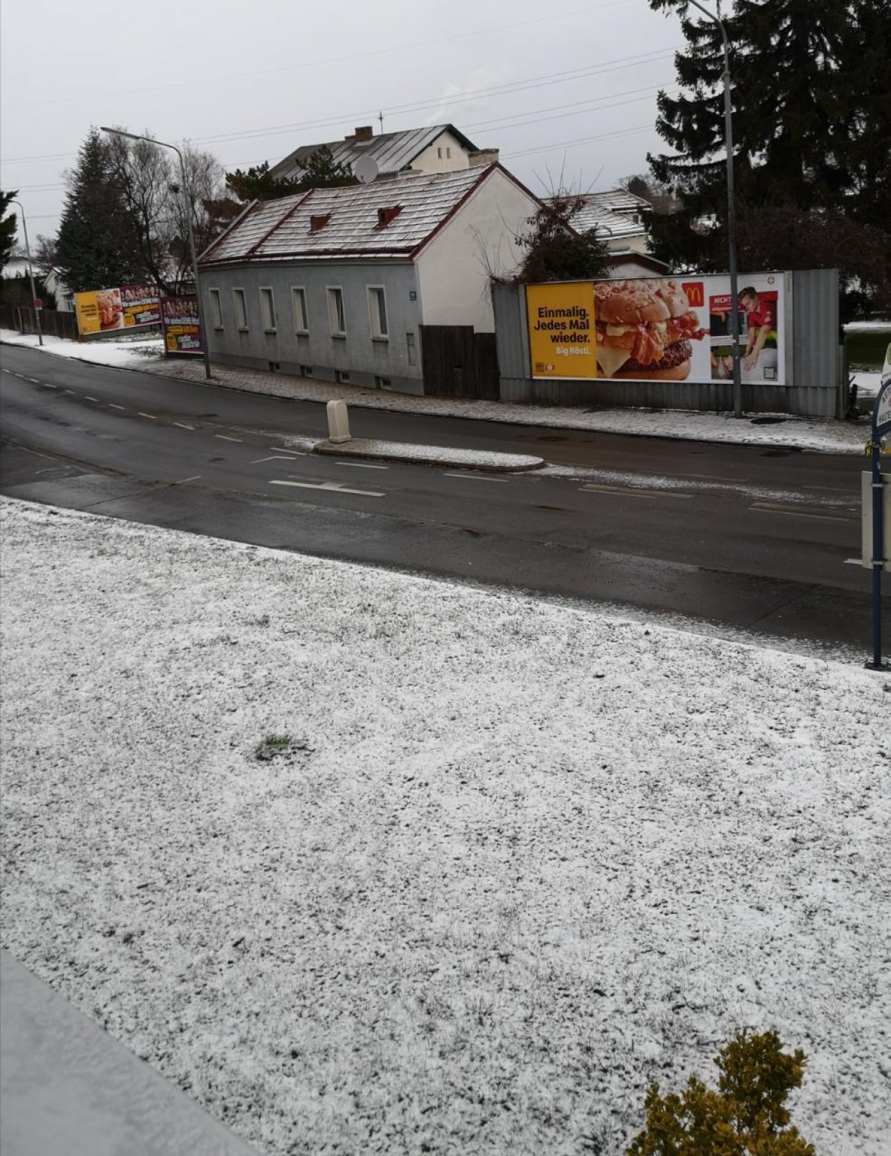 Zusammenhängende Schneedecke in Naturkalender App spotted by Karluise on 16.01.2021