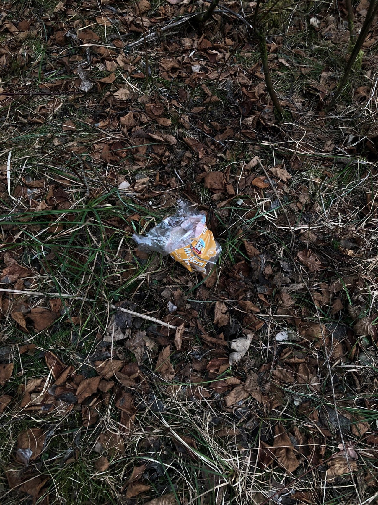 litter in DRECKSPOTZ | GLOBAL 2000 App spotted by HOEK2021HB on 04.03.2021