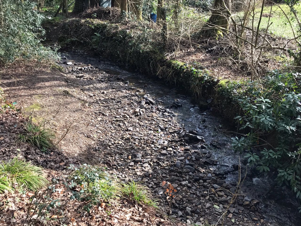 temporary stream in CrowdWater App spotted by Frances Attwood on 26.02.2021