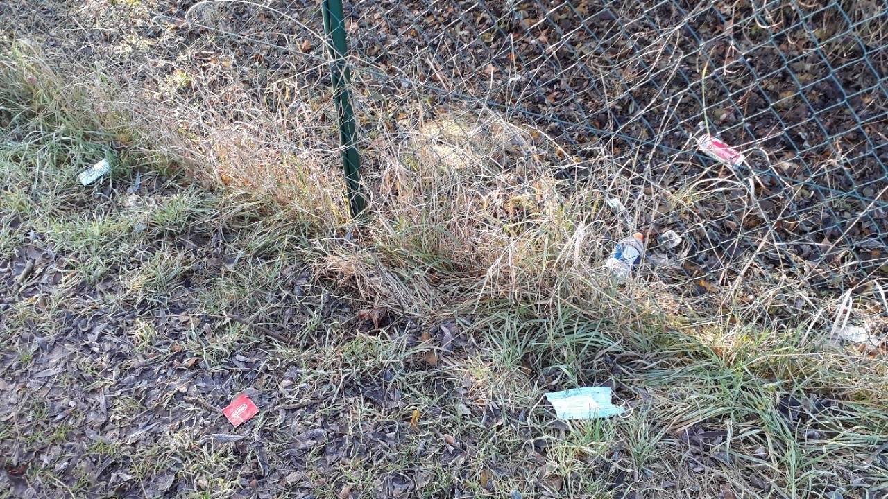 litter in DRECKSPOTZ | GLOBAL 2000 App spotted by GeoNettl on 31.12.2020