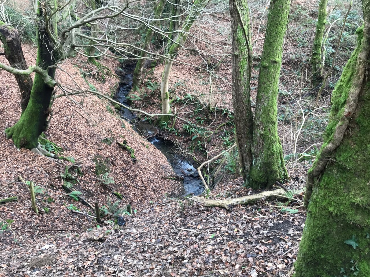 temporary stream in CrowdWater App spotted by Frances Attwood on 15.01.2021