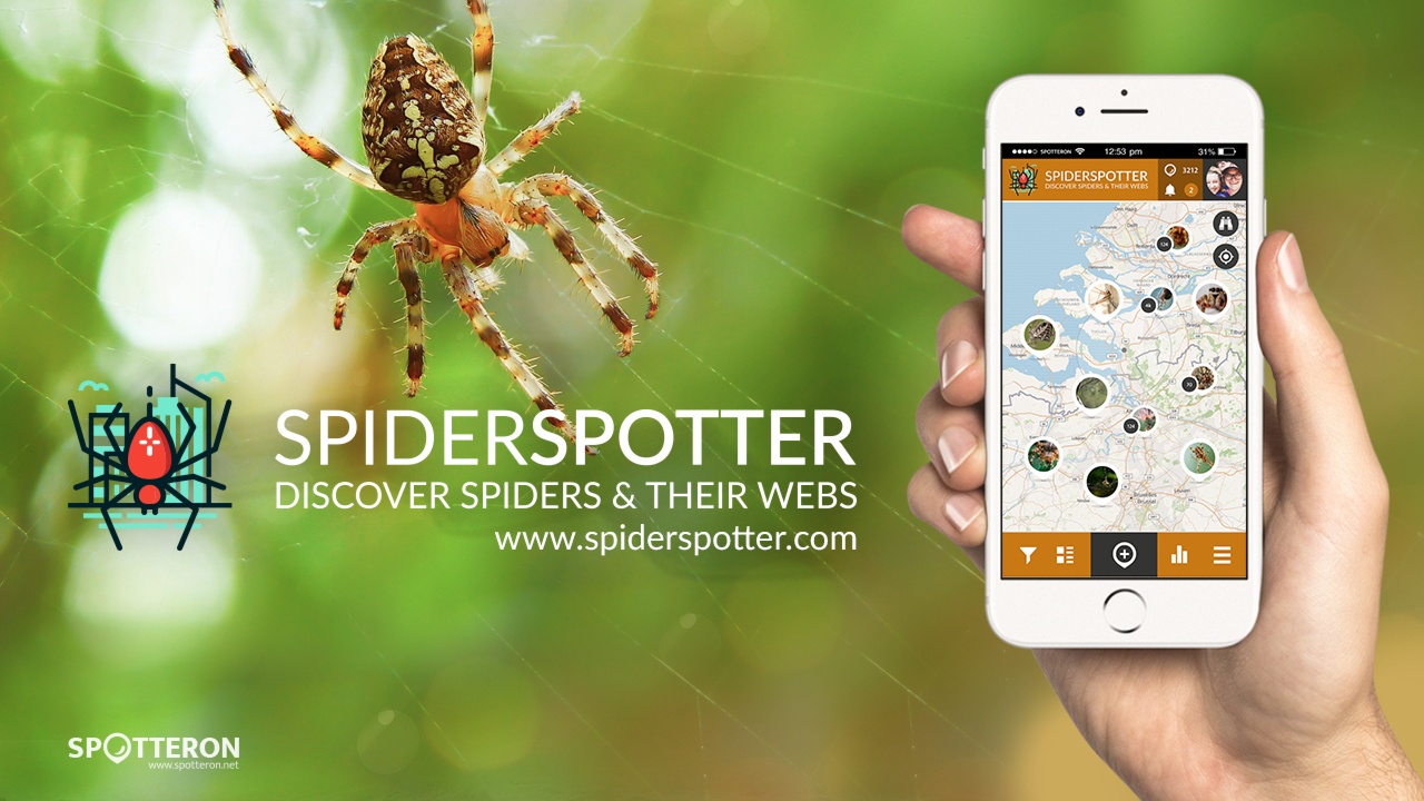 SpiderSpotter