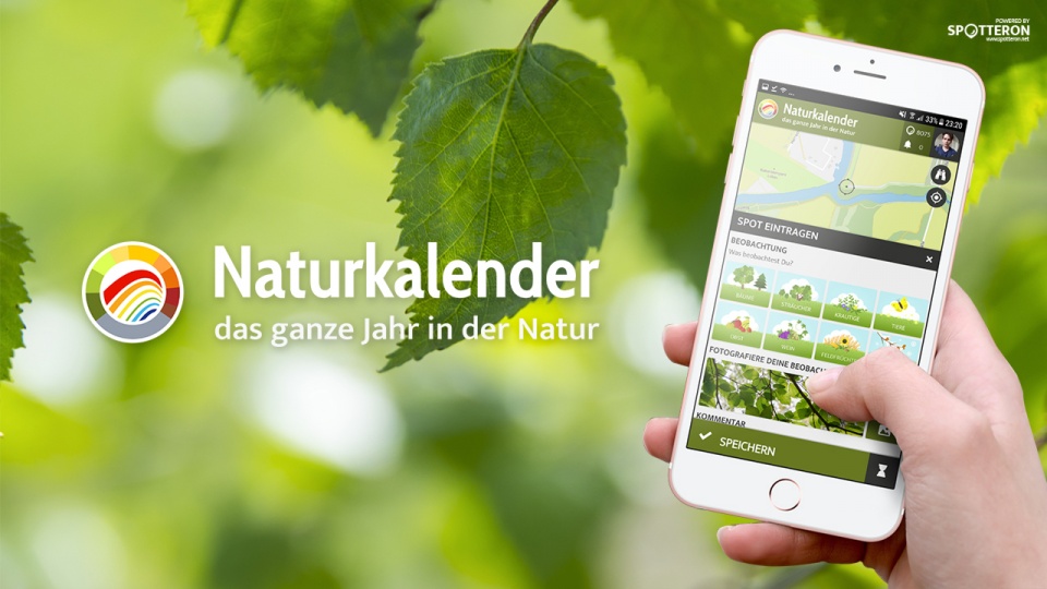 Eine Andere Krautige Art In Naturkalender App Spotted By Steinbock On ...