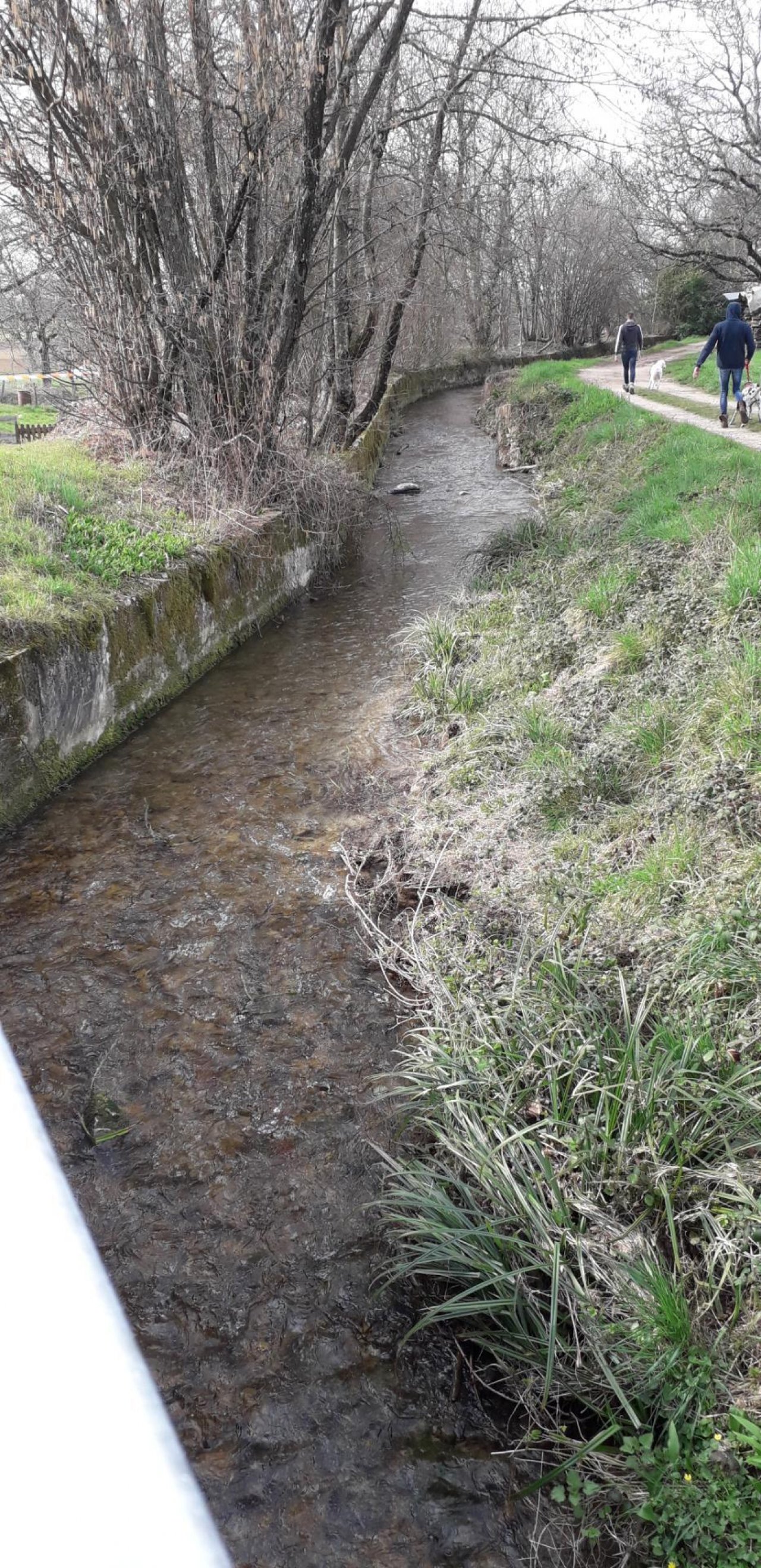 temporary stream in CrowdWater App spotted by SR3A, Ain on 07.03.2021