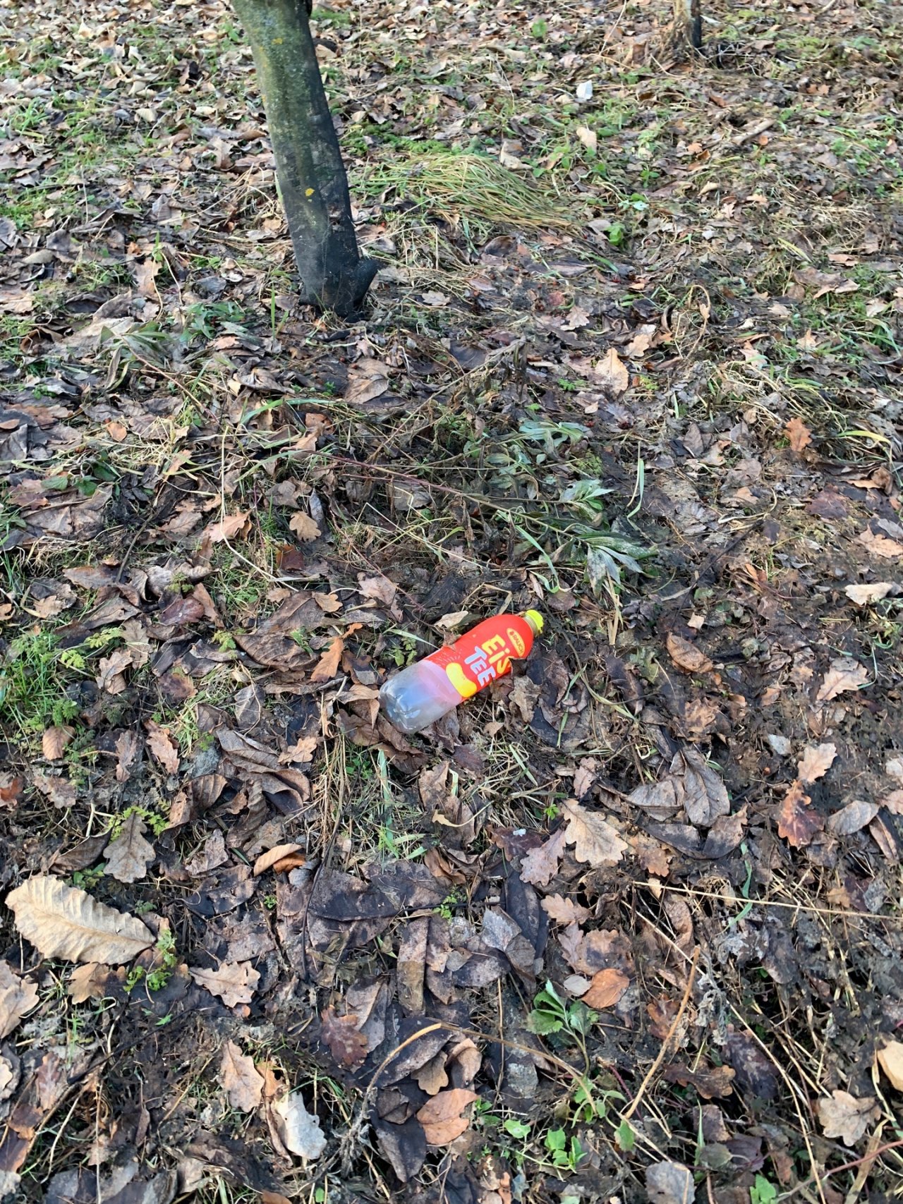 litter in DRECKSPOTZ | GLOBAL 2000 App spotted by Anna Graf on 05.01.2021