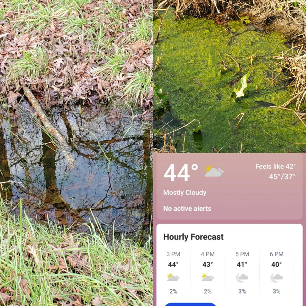 Water quality in Coastal Observer App spotted by Jennifer Boland on 21.12.2020
