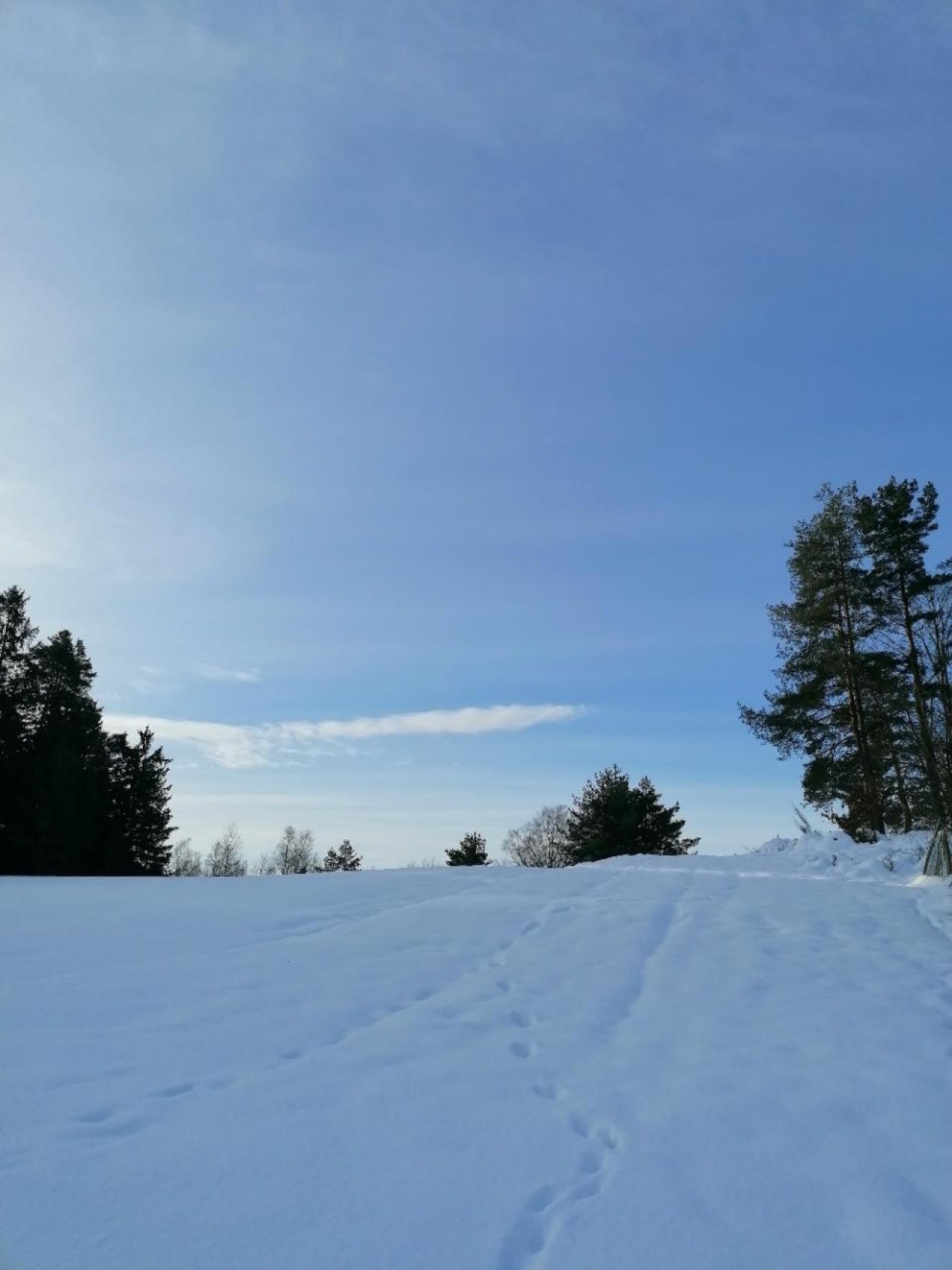 Zusammenhängende Schneedecke in Naturkalender App spotted by Brigitte Ratzenbeck on 20.01.2021