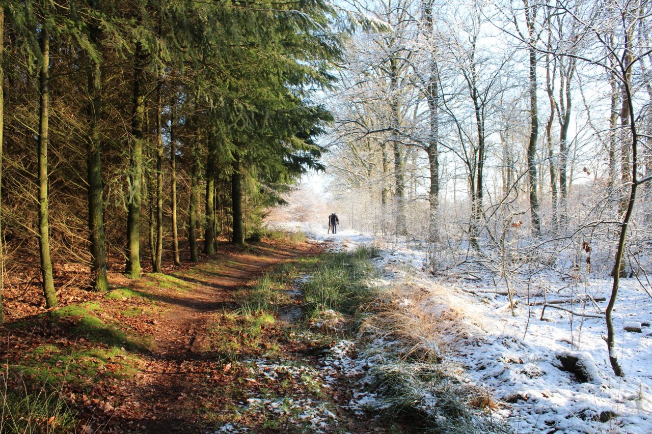 Zeitreihen erstellen