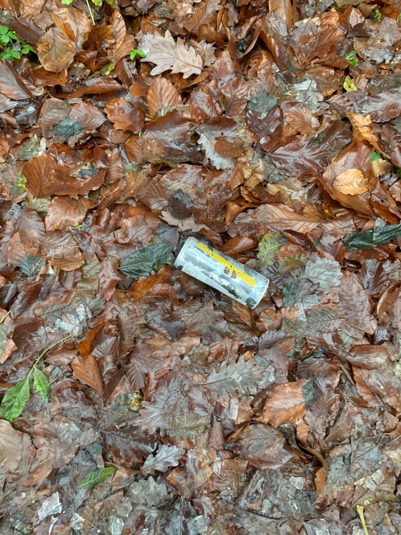 litter in DRECKSPOTZ | GLOBAL 2000 App spotted by Anna Graf on 20.12.2020