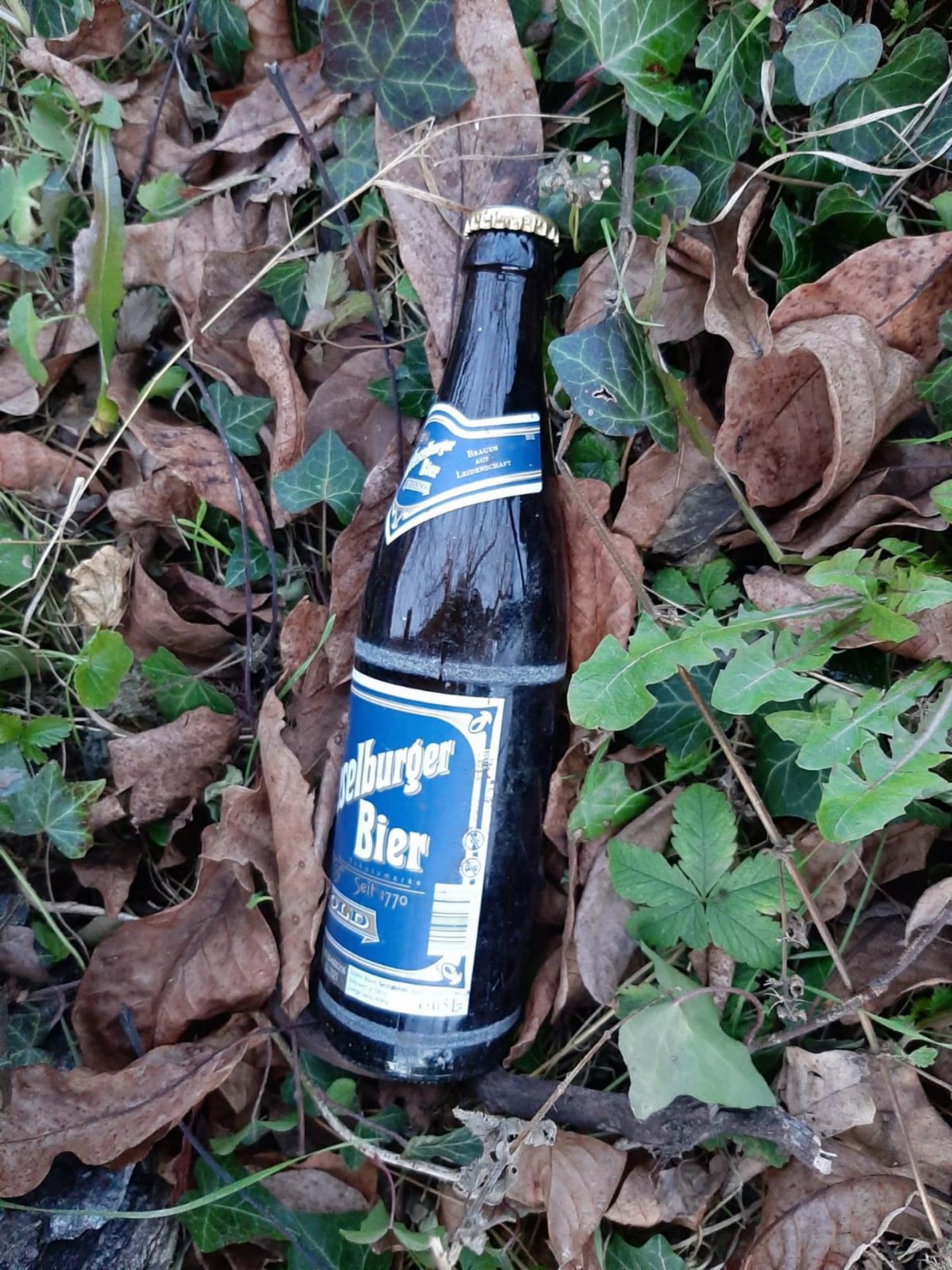 litter in DRECKSPOTZ | GLOBAL 2000 App spotted by Dreckspitz on 02.01.2021