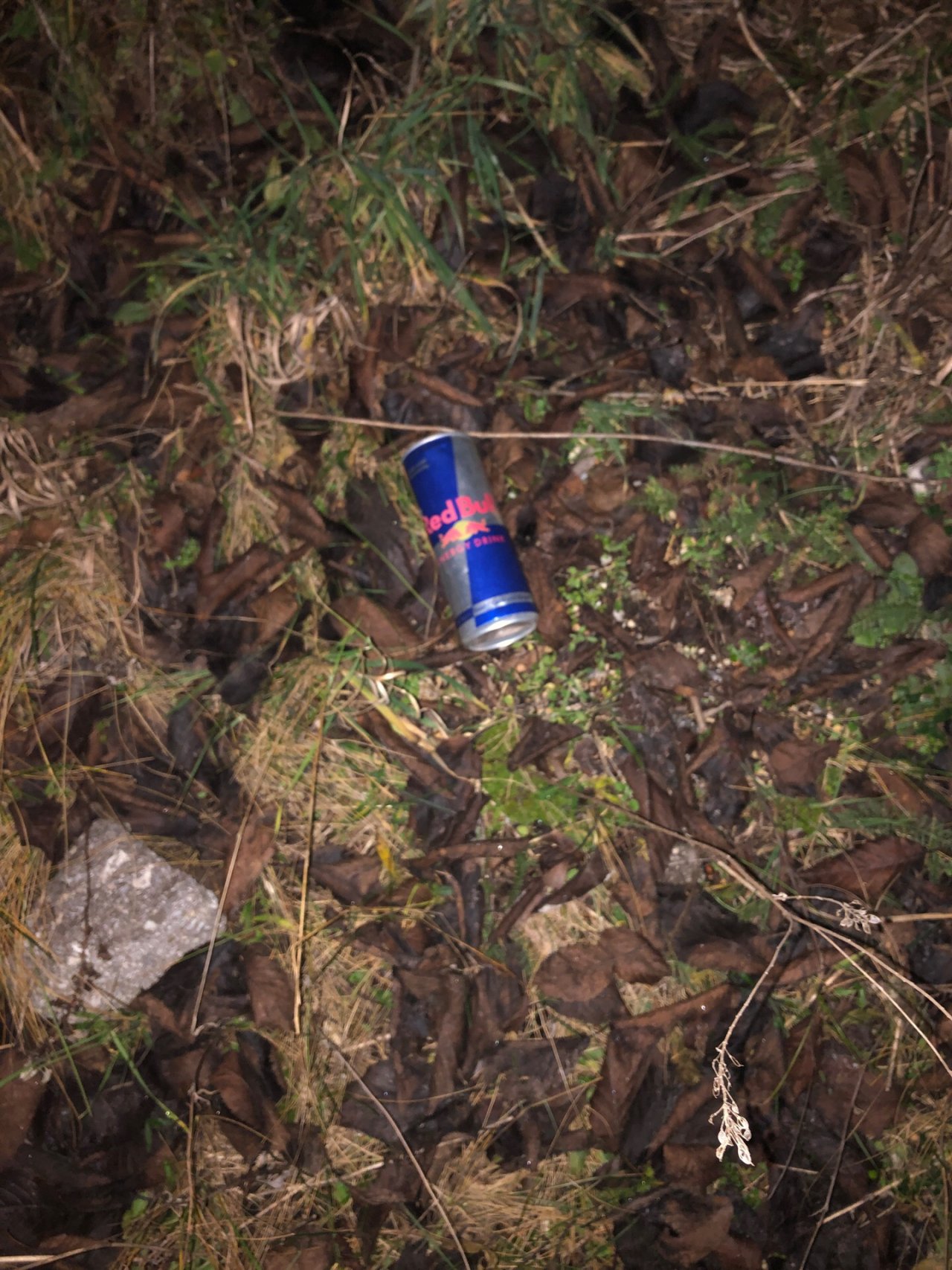 litter in DRECKSPOTZ | GLOBAL 2000 App spotted by Kessrinde on 26.12.2020