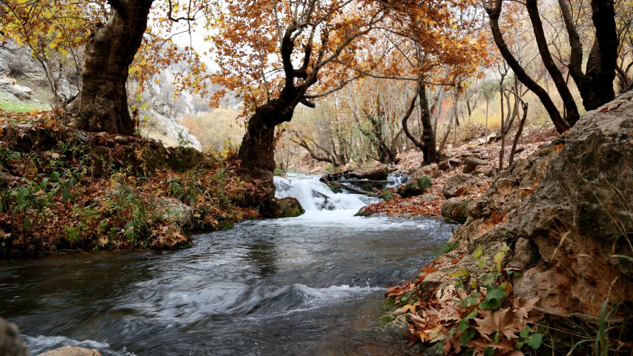 Osservazione di un corso d&#039;acqua temporaneo