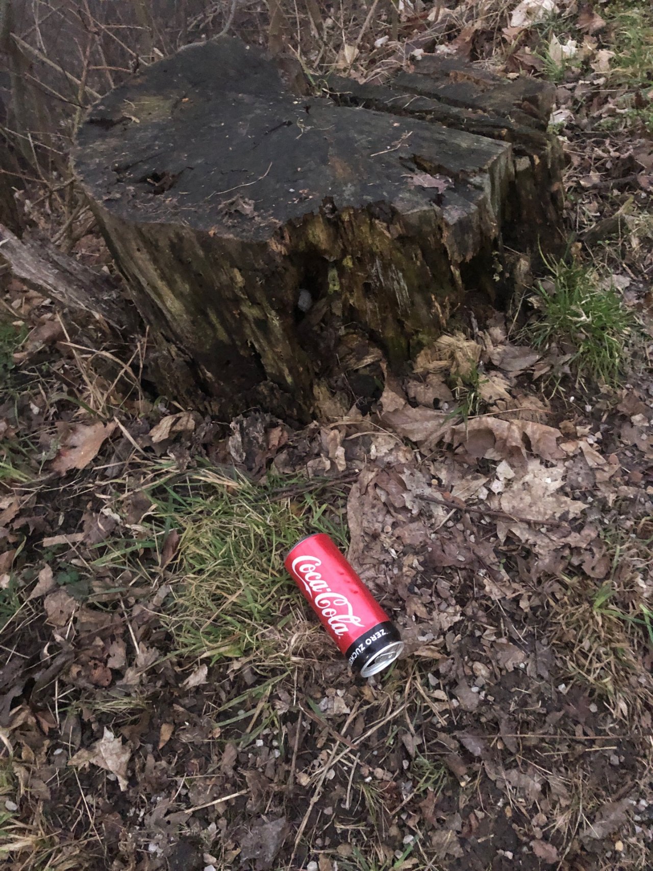 litter in DRECKSPOTZ | GLOBAL 2000 App spotted by Paul Gulda on 20.02.2021