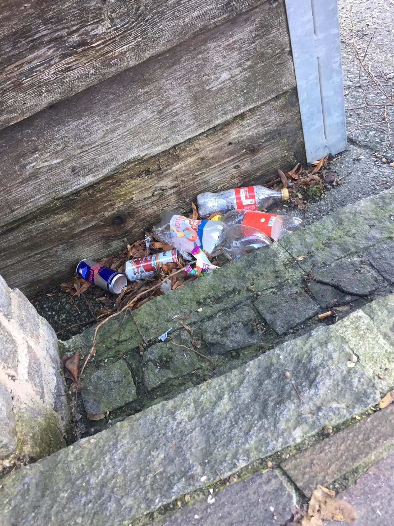 litter in DRECKSPOTZ | GLOBAL 2000 App spotted by HOEK2021MSCH on 06.03.2021