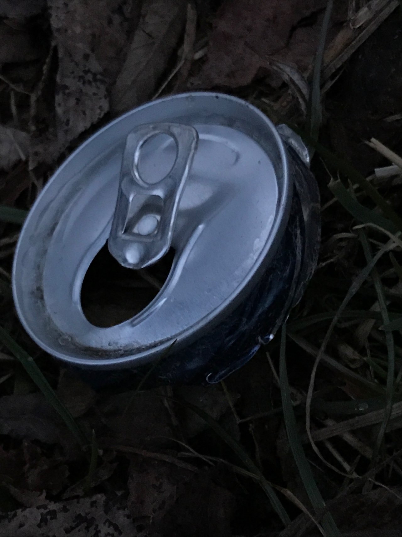 litter in DRECKSPOTZ | GLOBAL 2000 App spotted by Baumi21 on 09.02.2021